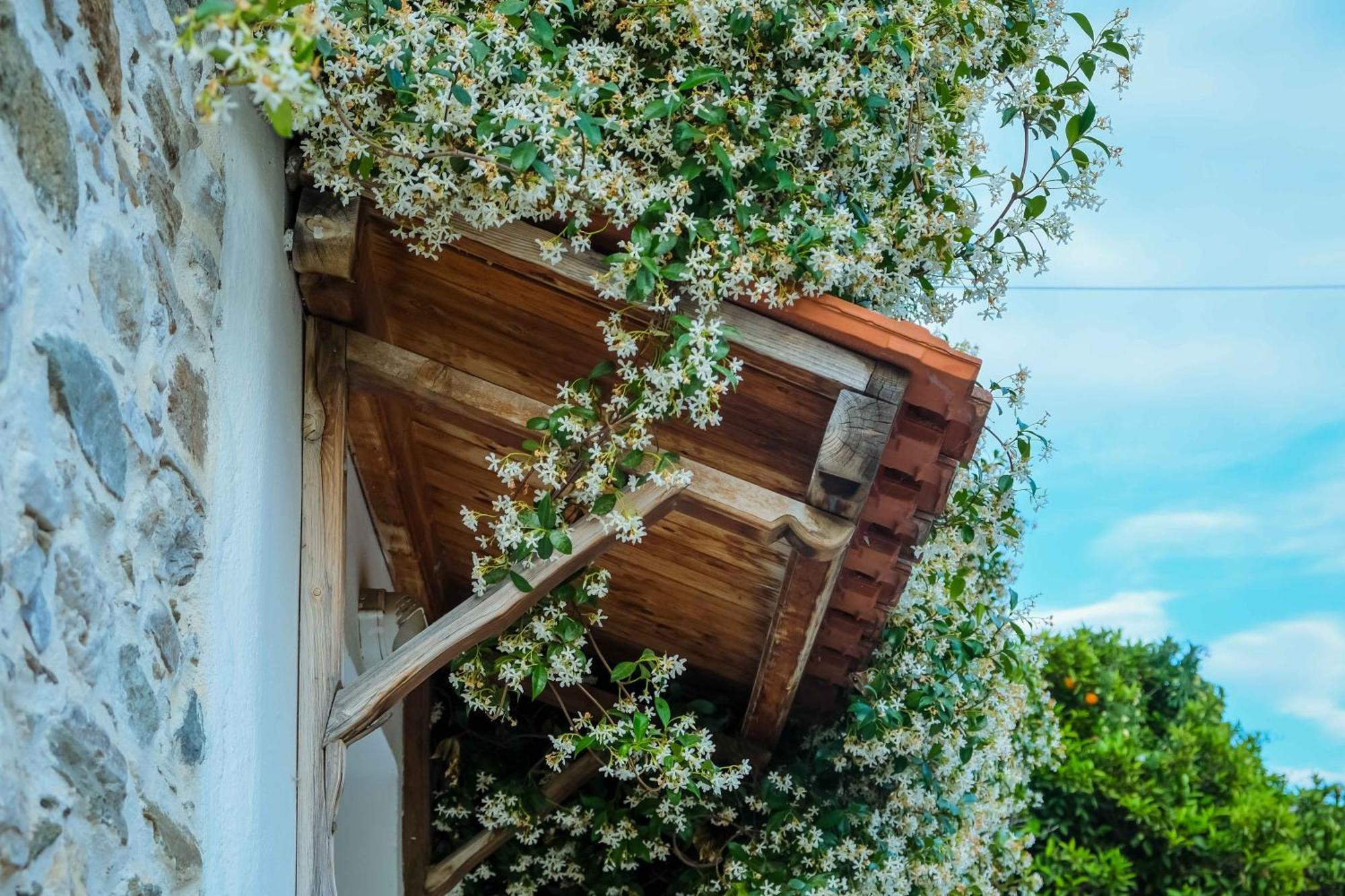 Cozy House In Pelion Apartamento Káto Lekhónia Exterior foto